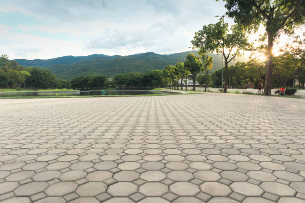 Best Residential Driveway Paver Services  in Moose Wilson Road, WY